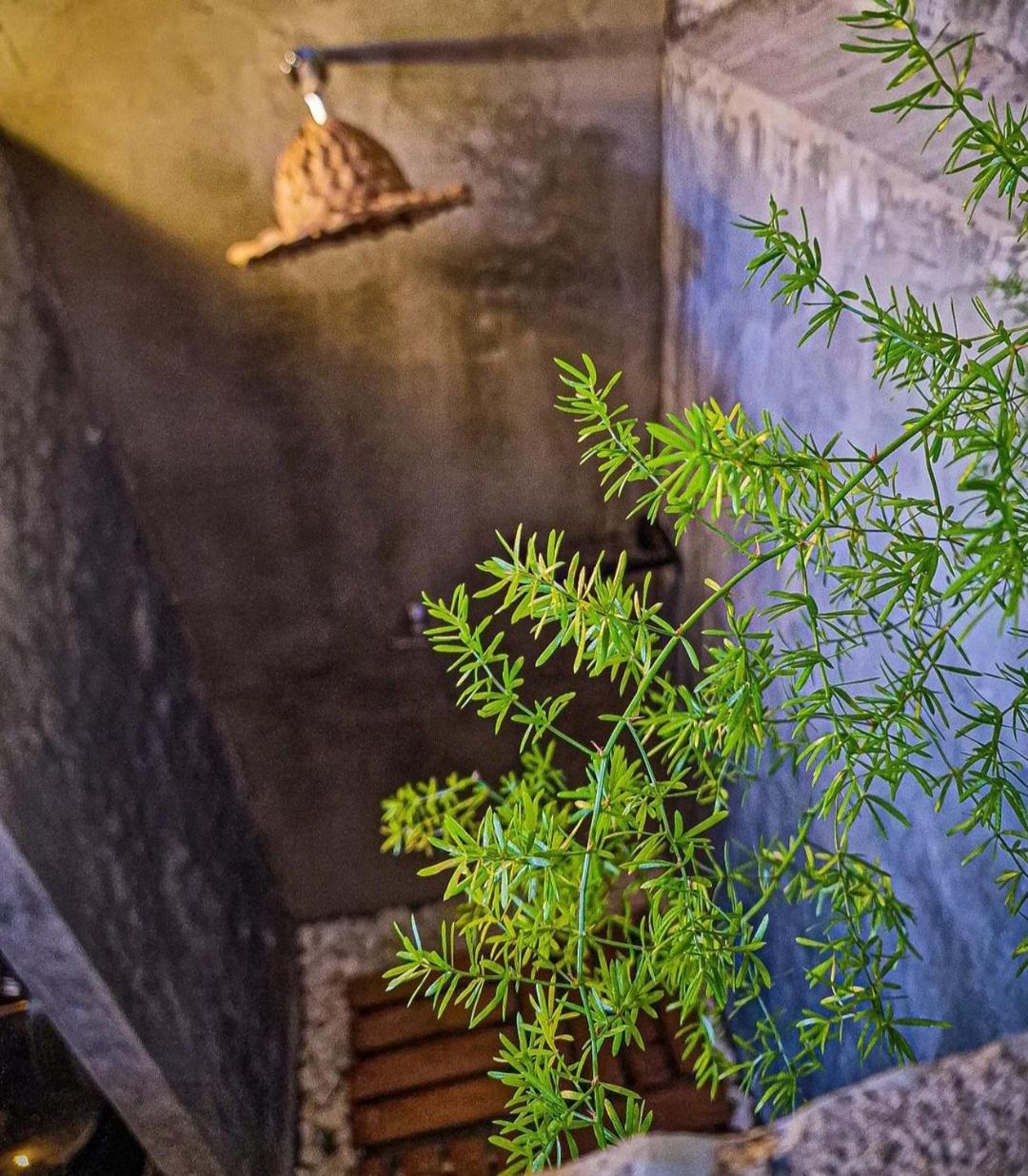 Urban Hostal Bar Bucaramanga Dış mekan fotoğraf